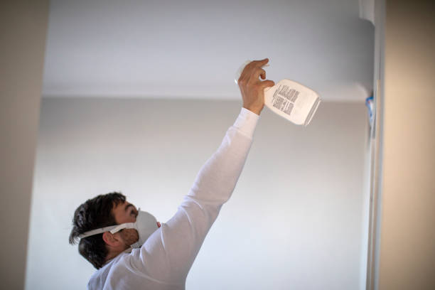 Best Crawl Space Mold Removal  in Auburn Hills, MI